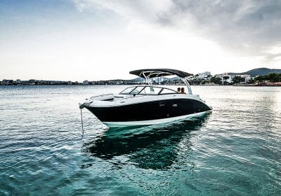 Sea Ray 270 SDX 1