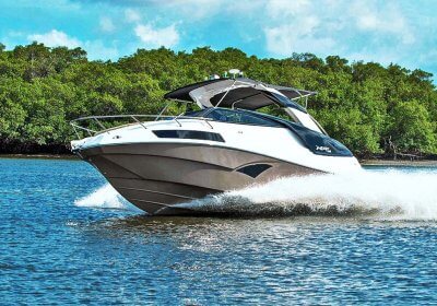 NX 290 Exclusive Edition 1